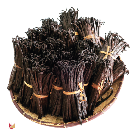 CONVENTIONAL Bourbon Vanilla Pods from Madagascar