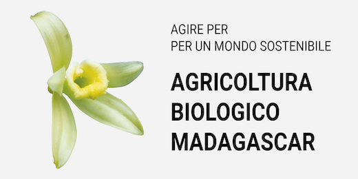 Azione per un mondo sostenibile - Agricoltura biologica in Madagascar per la cultura Vanille LAVANY Bourbon de Madagascar