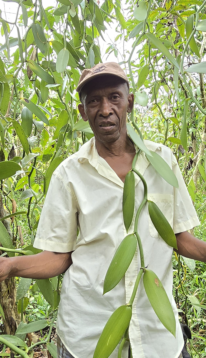 Anicet JERA responsabile delle piantagioni Vanille LAVANY Bourbon de Madagascar nel villaggio cespuglioso di Betavilona