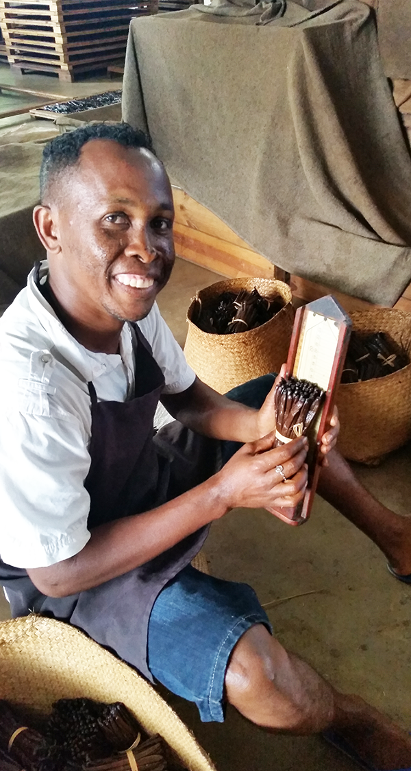 Misurazione dei baccelli raffinati Vanille LAVANY Bourbon de Madagascar