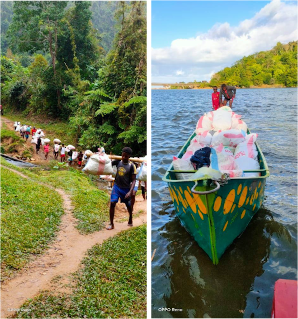 Trasporti terrestri e canoe di baccelli verdi Vanille LAVANY Bourbon dal cespuglio di Betavilona alla nostra stazione di raffinazione a Manambato in Antalaha