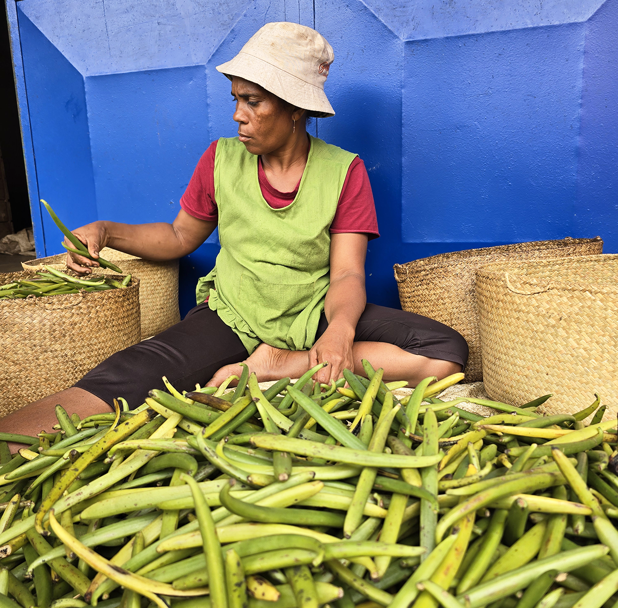 Ordinazione di baccelli verdi di Vanille LAVANY Bourbon de Madagascar