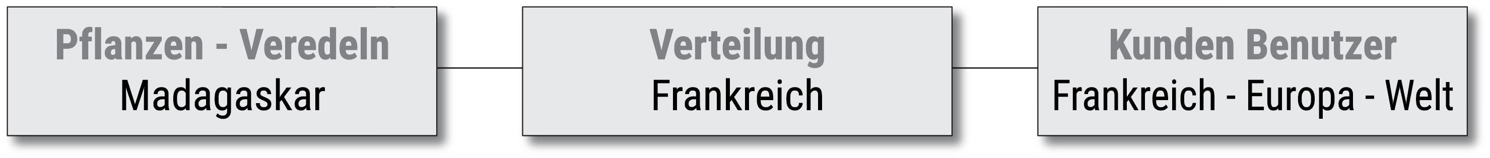 Diagramm von der Plantage – Raffination in Madagaskar, zur Verteilung in Frankreich – Europa – Welt 